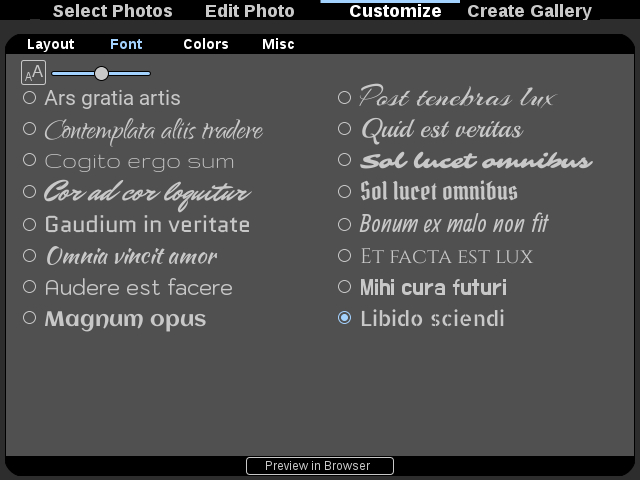 Customize fonts for photo gallery captions and title.